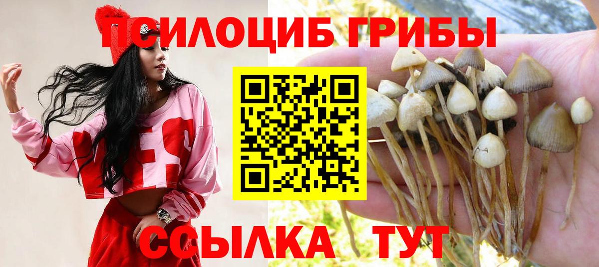 Псилоцибиновые грибы MAGIC MUSHROOMS Нижний Новгород